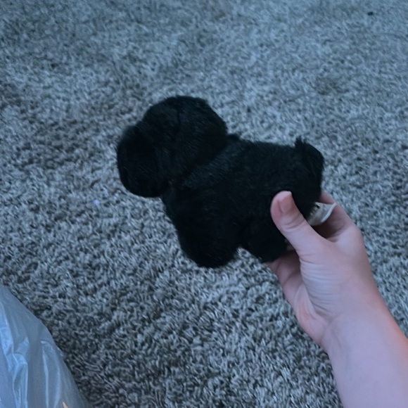 A little stuffed dog really cute - Picture 3 of 3